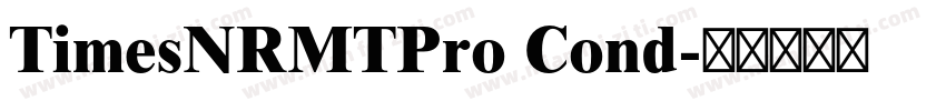 TimesNRMTPro Cond字体转换